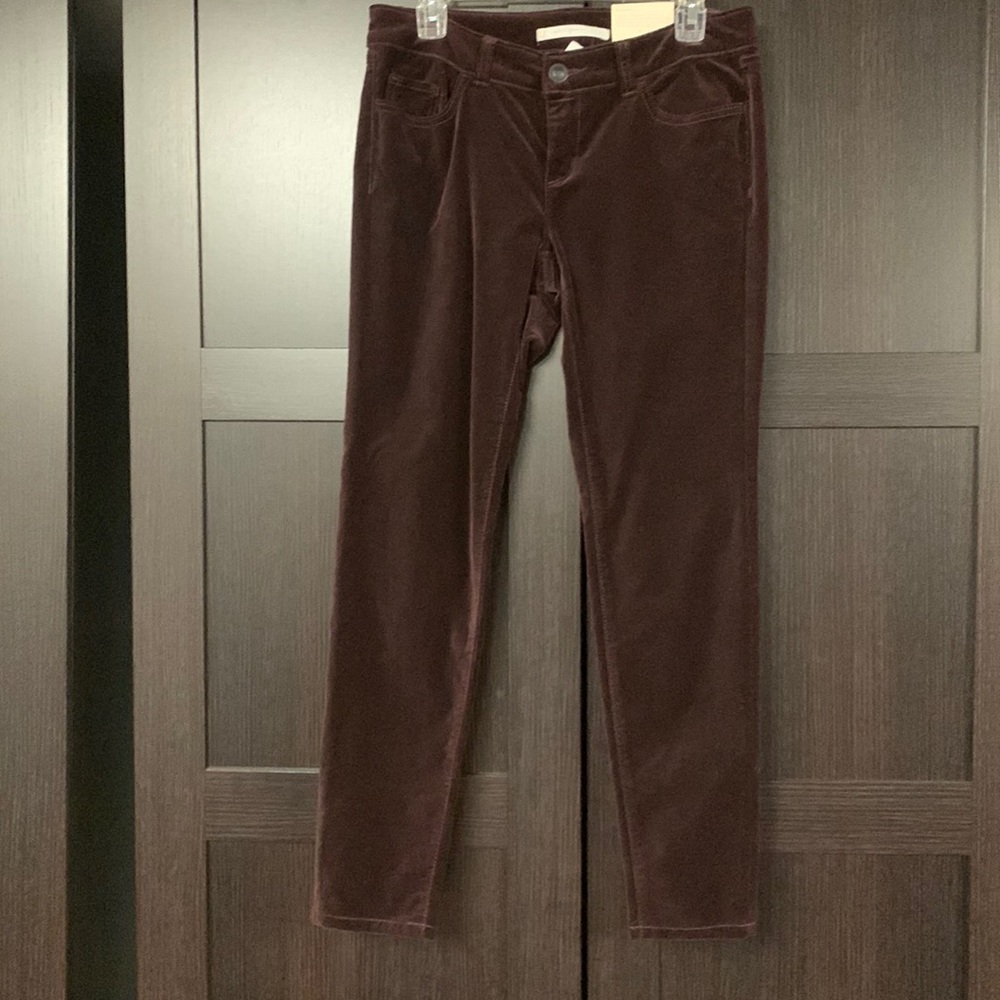 Pants NWT 6